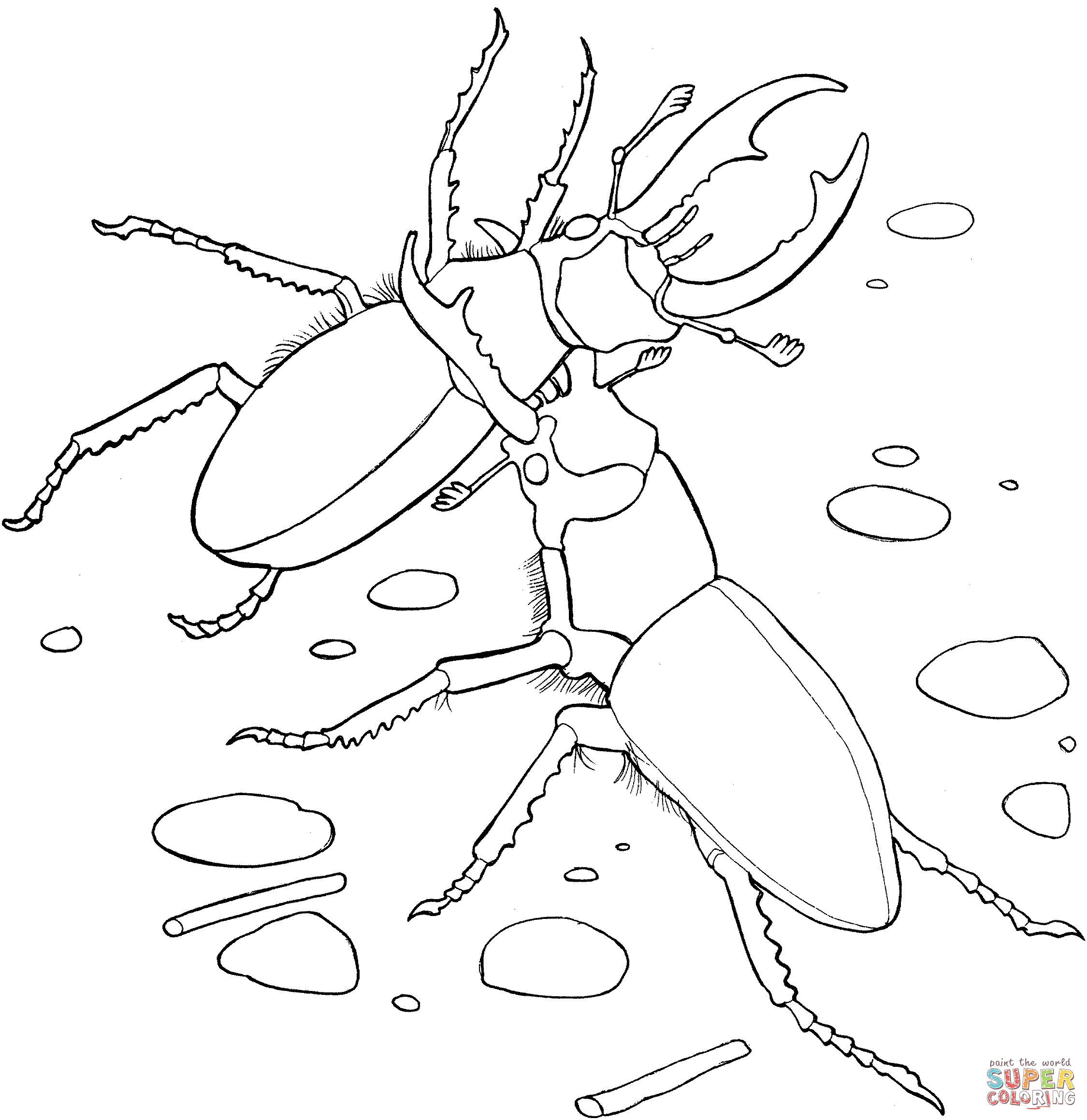 Beetles coloring #10, Download drawings