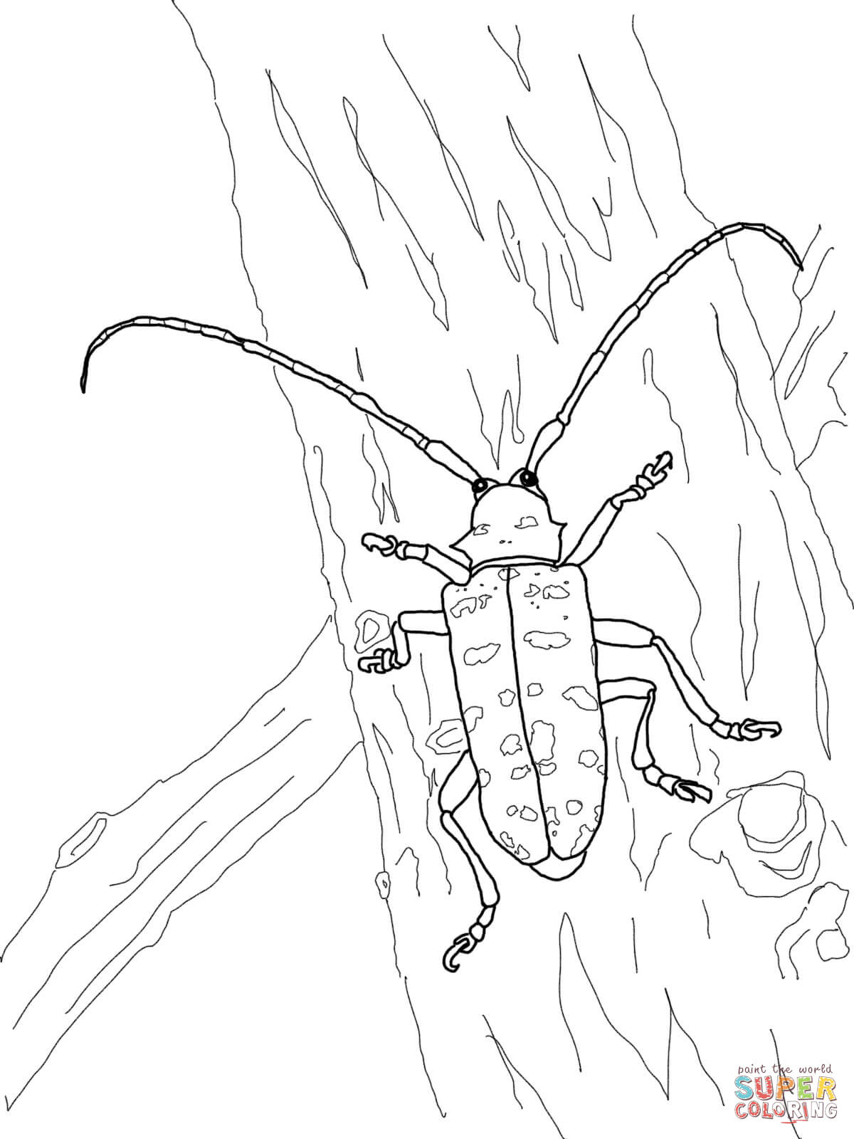 Beetle coloring #2, Download drawings