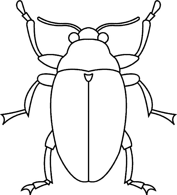 Beetle coloring #14, Download drawings