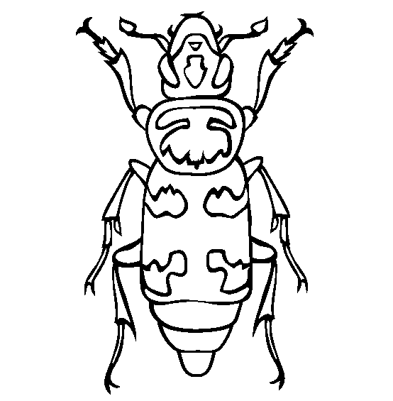 Beetle coloring #1, Download drawings