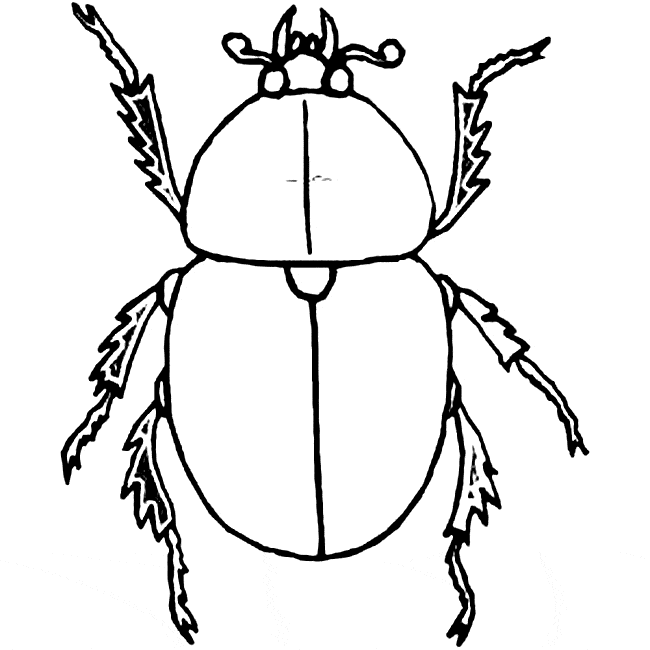 Beetles coloring #7, Download drawings