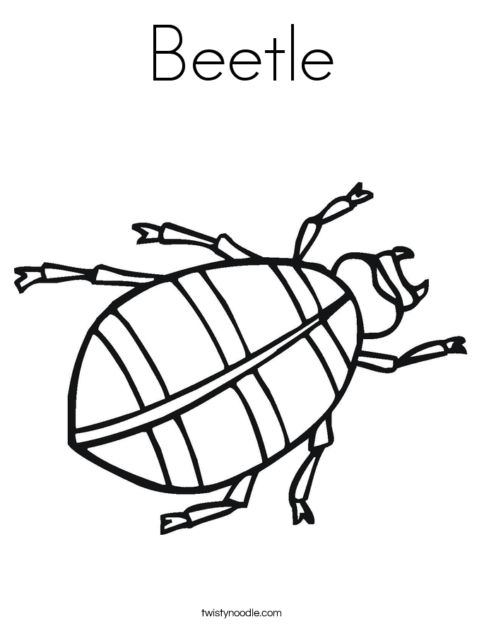 Beetle coloring #18, Download drawings