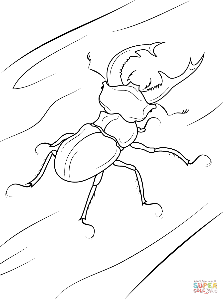 Beetle coloring #10, Download drawings