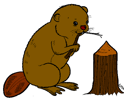 Beaver clipart #9, Download drawings