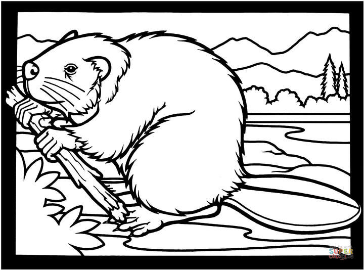Beaver coloring #9, Download drawings