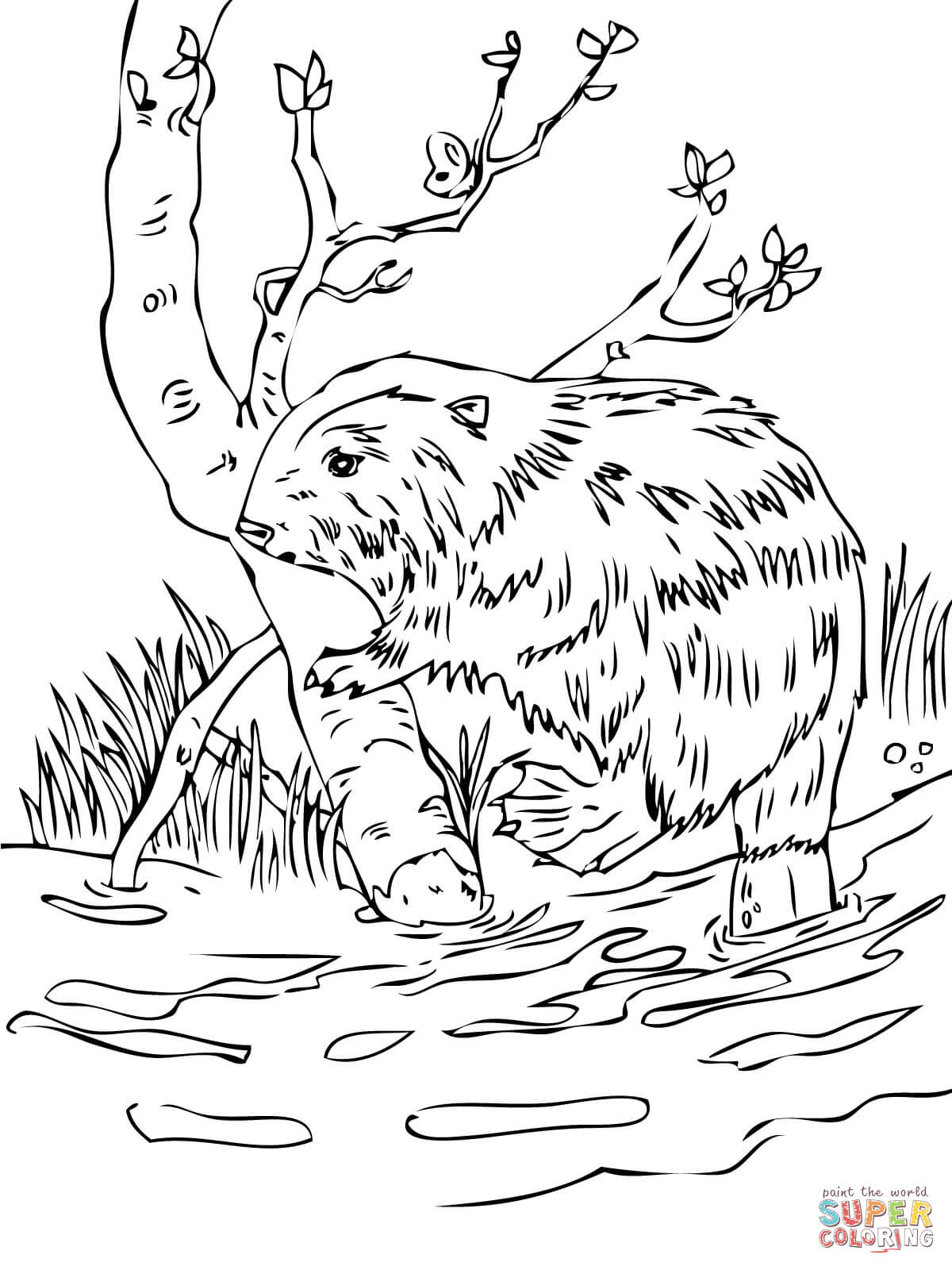 Beaver coloring #2, Download drawings