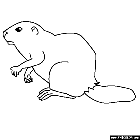 Gopher coloring #6, Download drawings