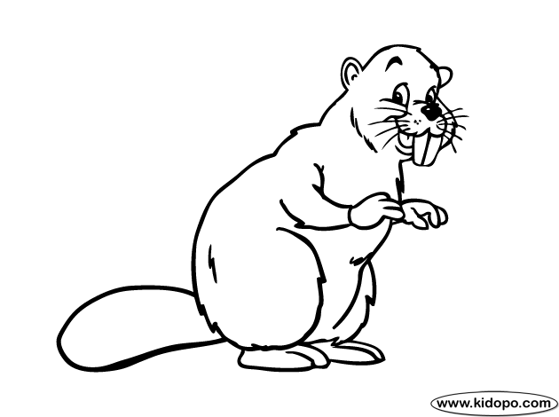 Beaver coloring #16, Download drawings