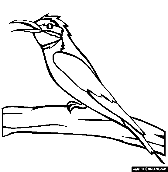 European Bee-eater coloring #4, Download drawings