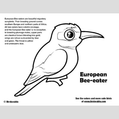 European Bee-eater coloring #1, Download drawings
