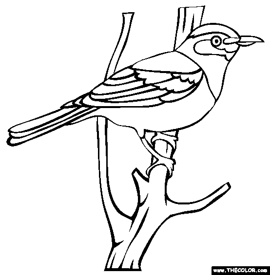 Bee-eater coloring #19, Download drawings