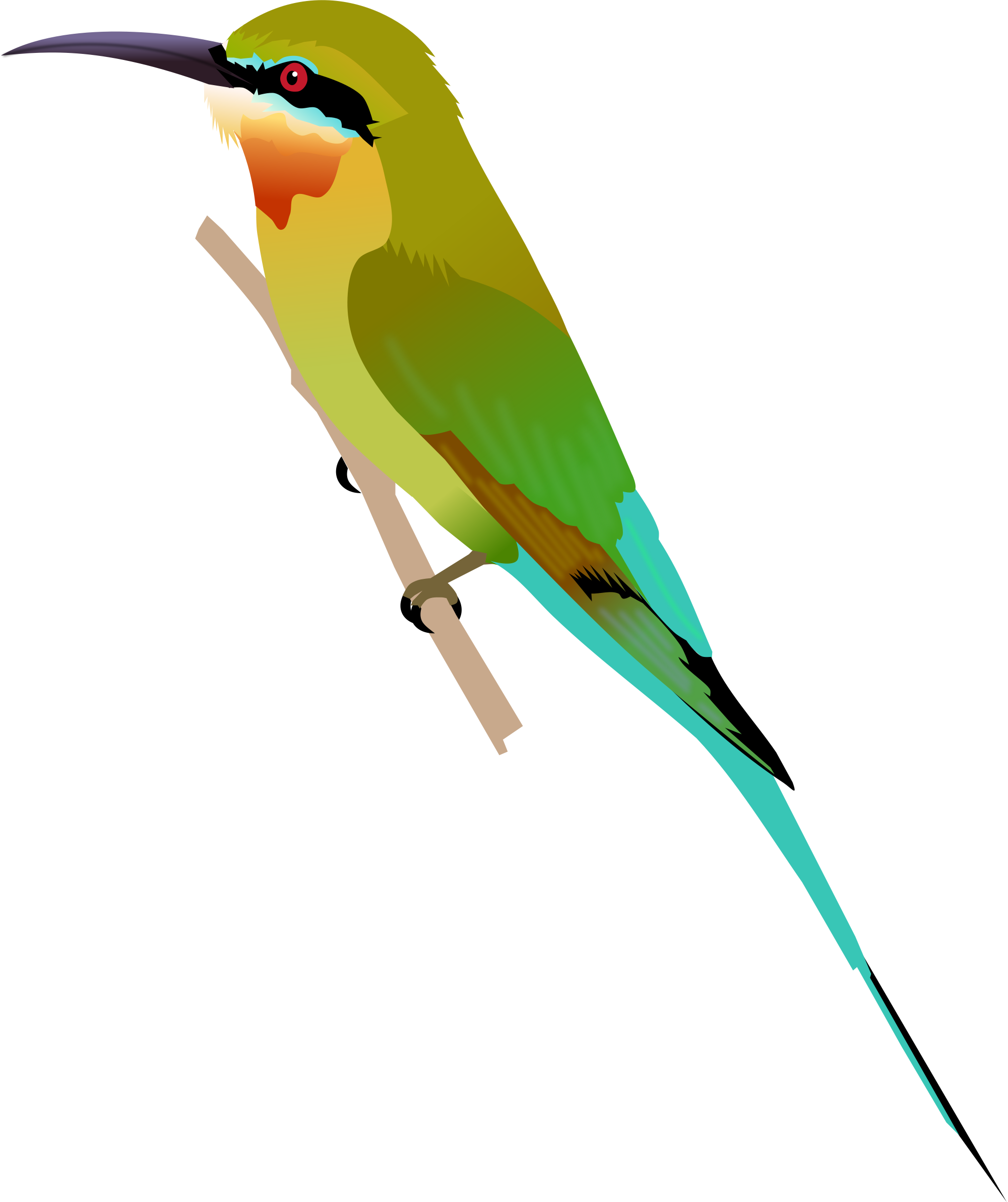 Bee-eater svg #11, Download drawings
