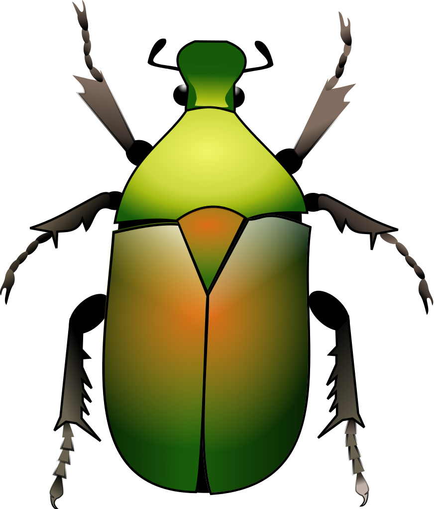 Beetle svg #20, Download drawings