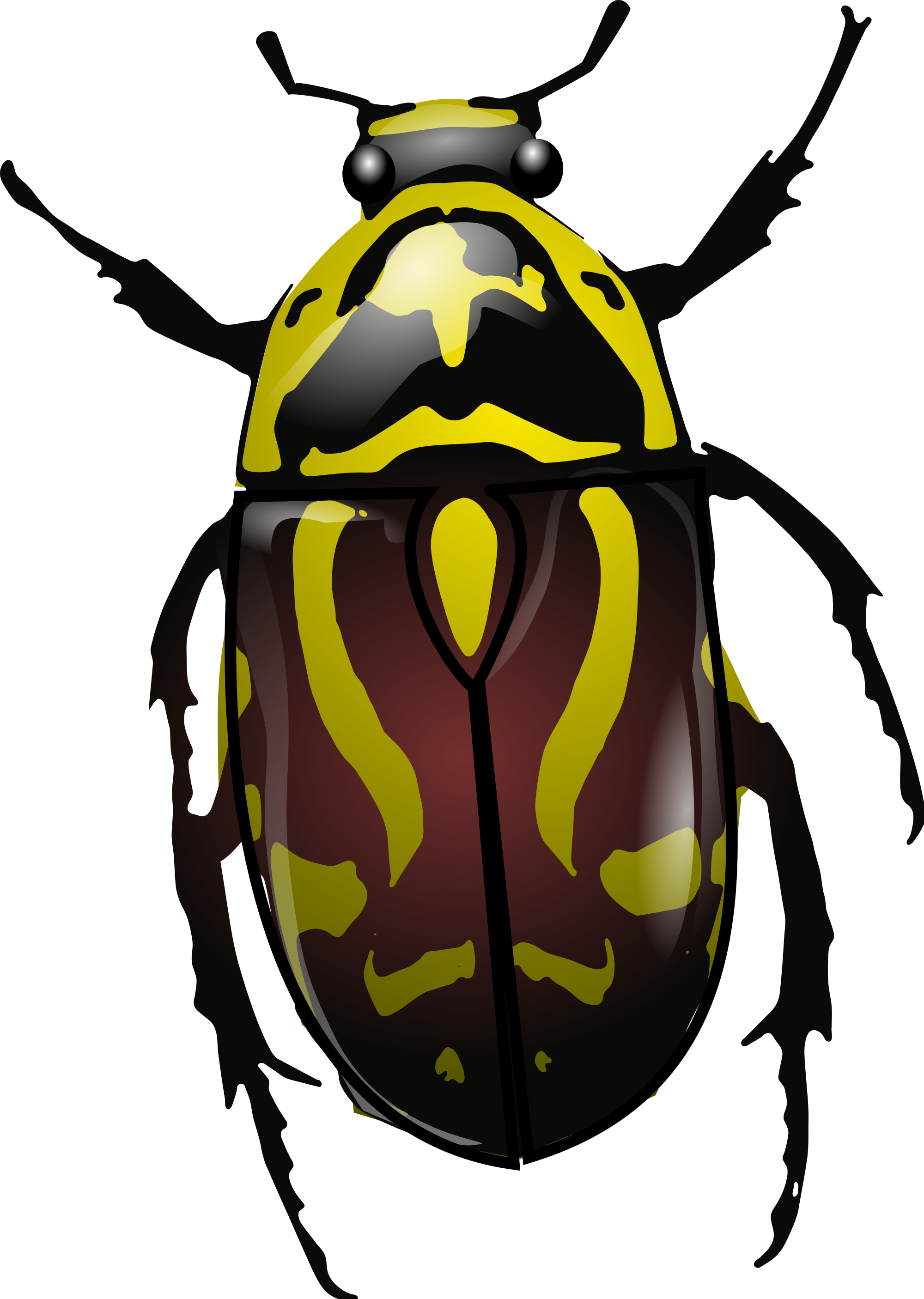 Rose Chafer svg #20, Download drawings