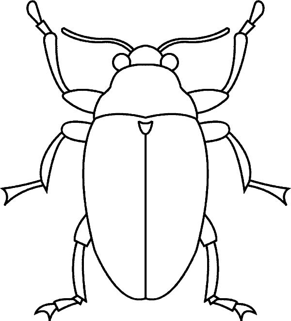 Beetles coloring #9, Download drawings