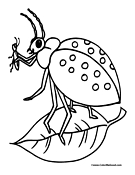 Beetles coloring #3, Download drawings
