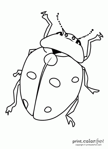 Beetles coloring #14, Download drawings