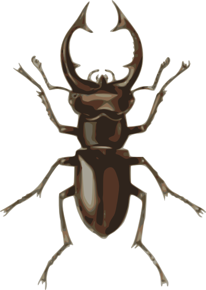 Stag Beetle svg #19, Download drawings
