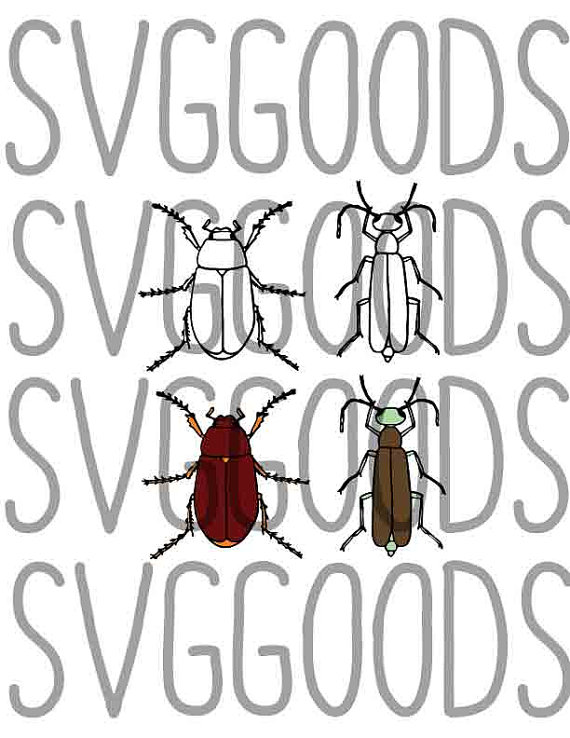 Beetles svg #14, Download drawings