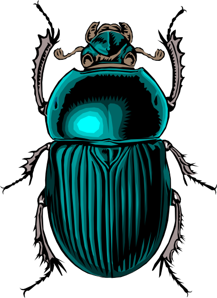 Dung Beetle svg #20, Download drawings