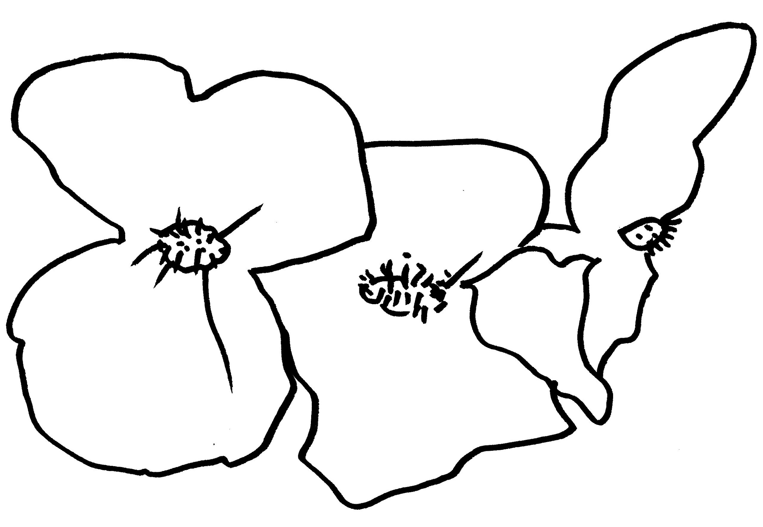 Begonia coloring #3, Download drawings