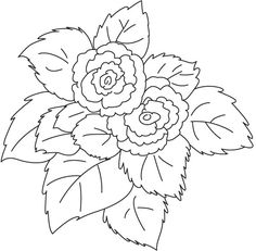 Begonia coloring #4, Download drawings