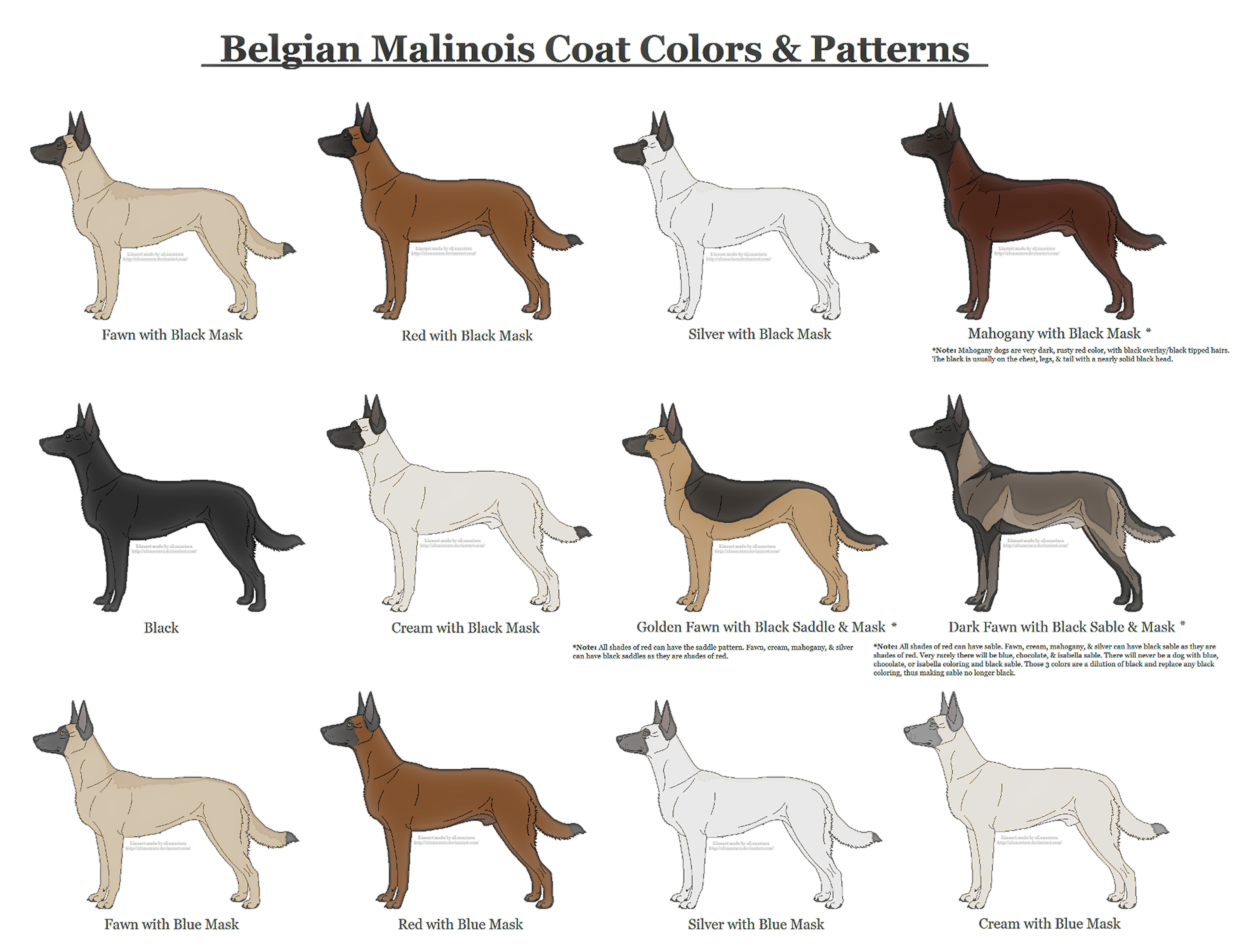 Belgian Malinois coloring #20, Download drawings