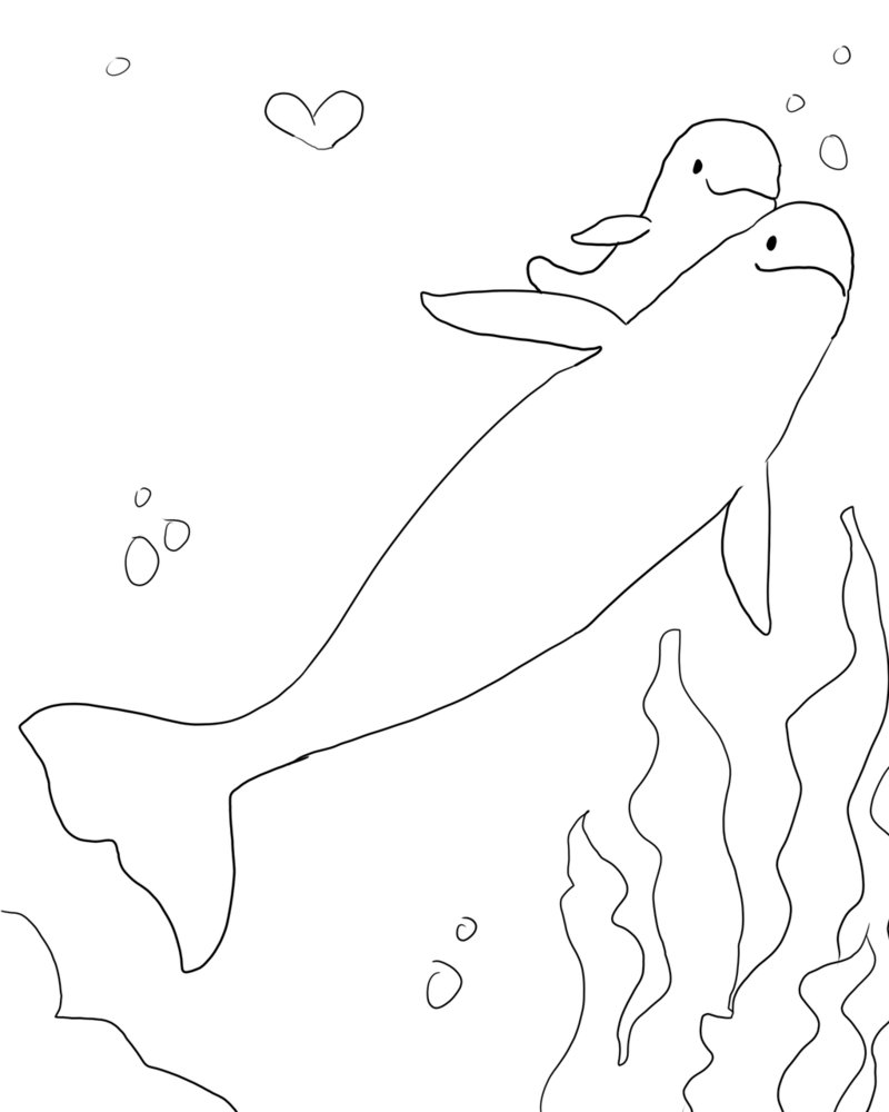 Beluga coloring #11, Download drawings