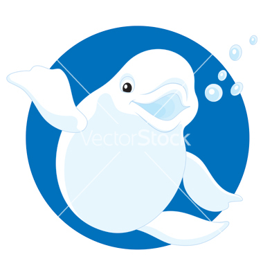 Beluga Whale clipart #9, Download drawings