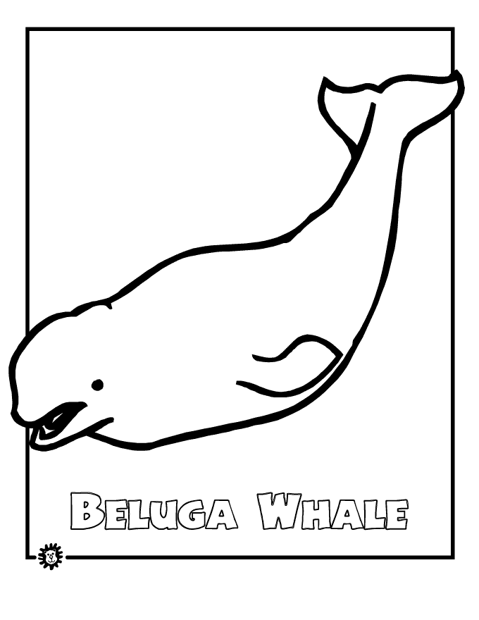 Beluga Whale clipart #4, Download drawings