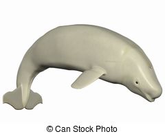 Beluga Whale clipart #12, Download drawings