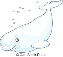 Beluga Whale clipart #19, Download drawings