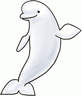 Beluga Whale clipart #16, Download drawings