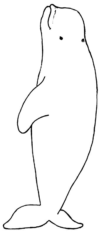 Beluga Whale clipart #11, Download drawings