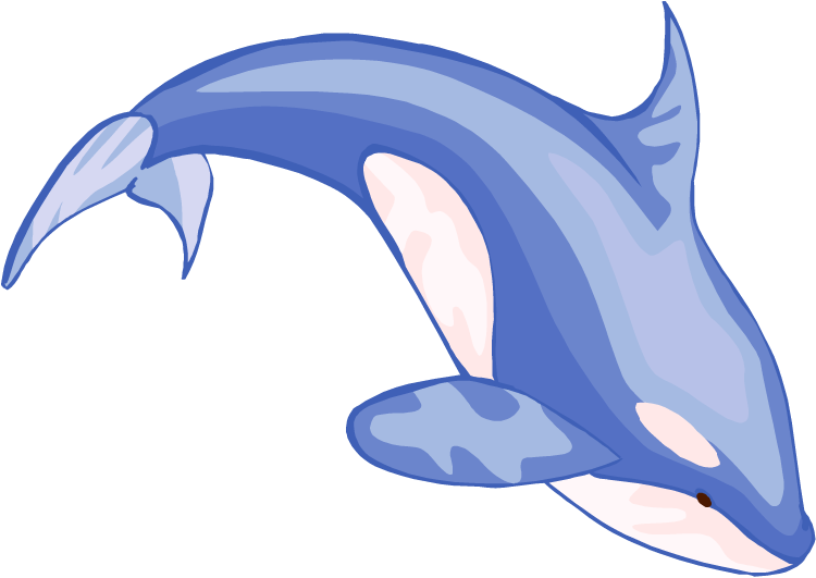 Beluga Whale clipart #5, Download drawings