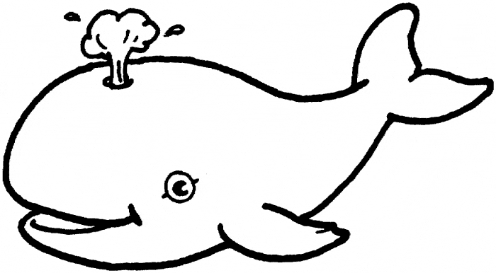 Beluga Whale coloring #11, Download drawings