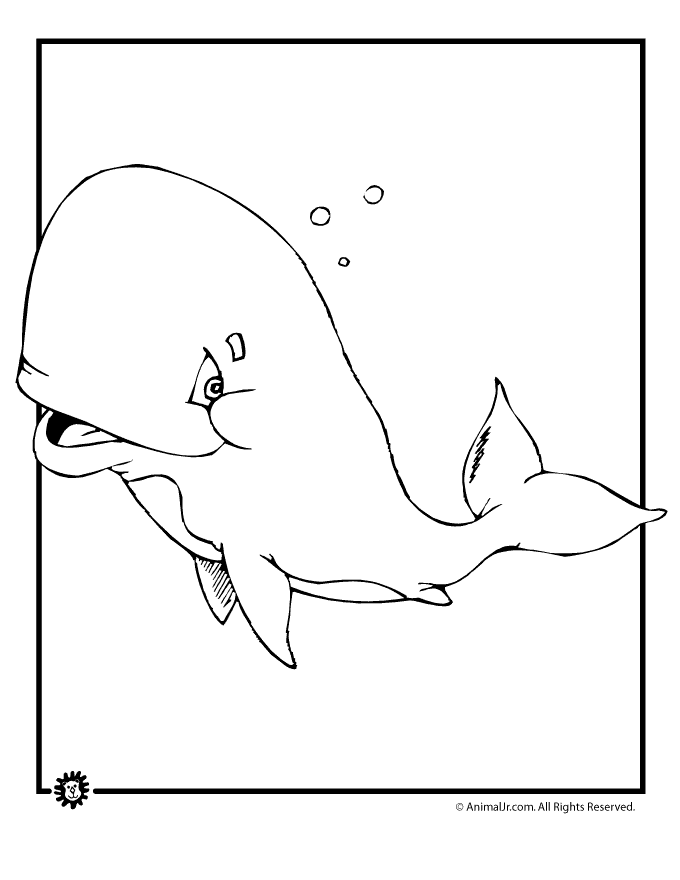 Beluga Whale coloring #15, Download drawings