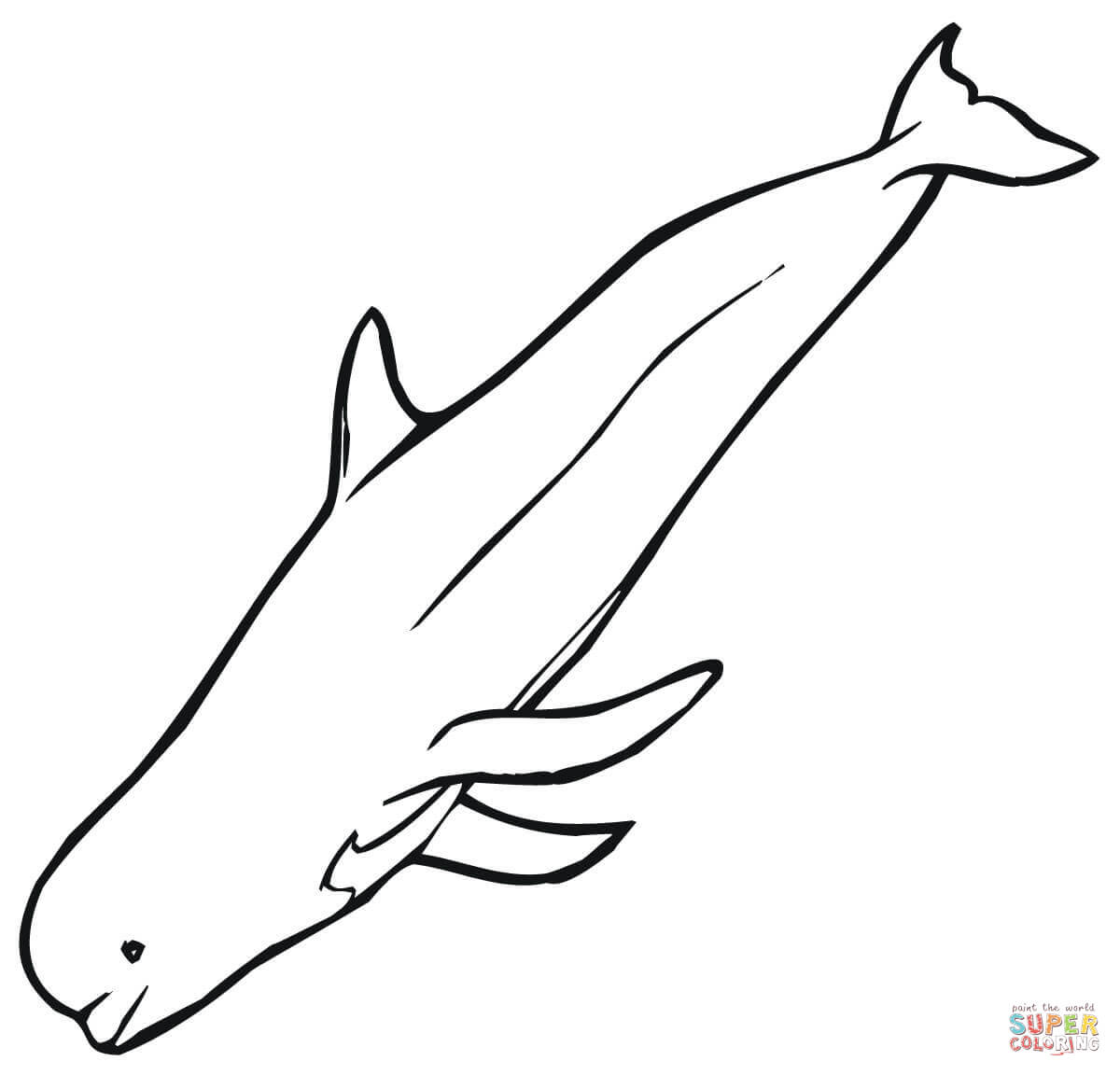 Beluga Whale coloring #8, Download drawings