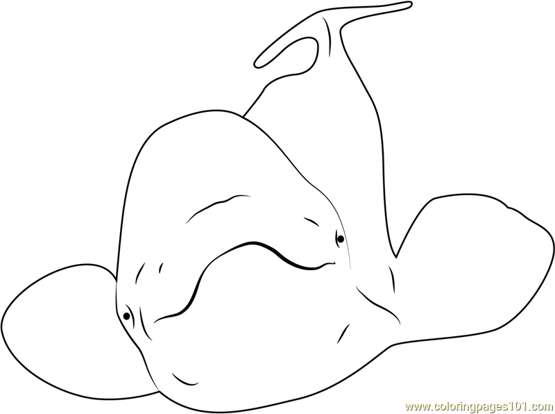 Beluga coloring #12, Download drawings