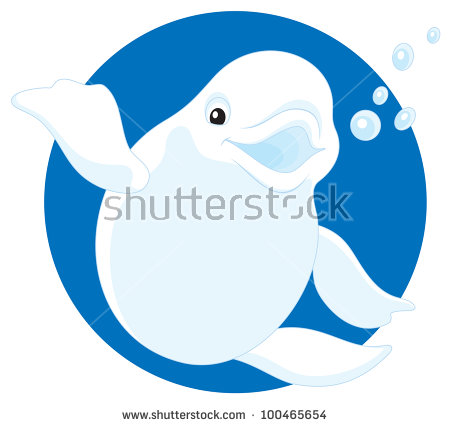 Beluga Whale svg #16, Download drawings