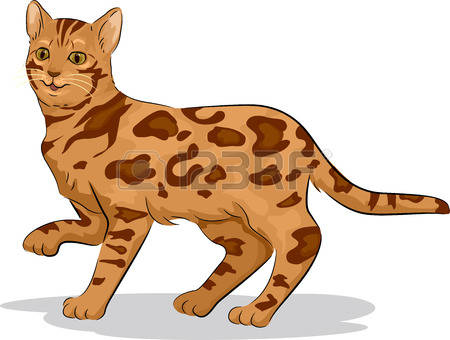 Bengal Cat clipart #2, Download drawings
