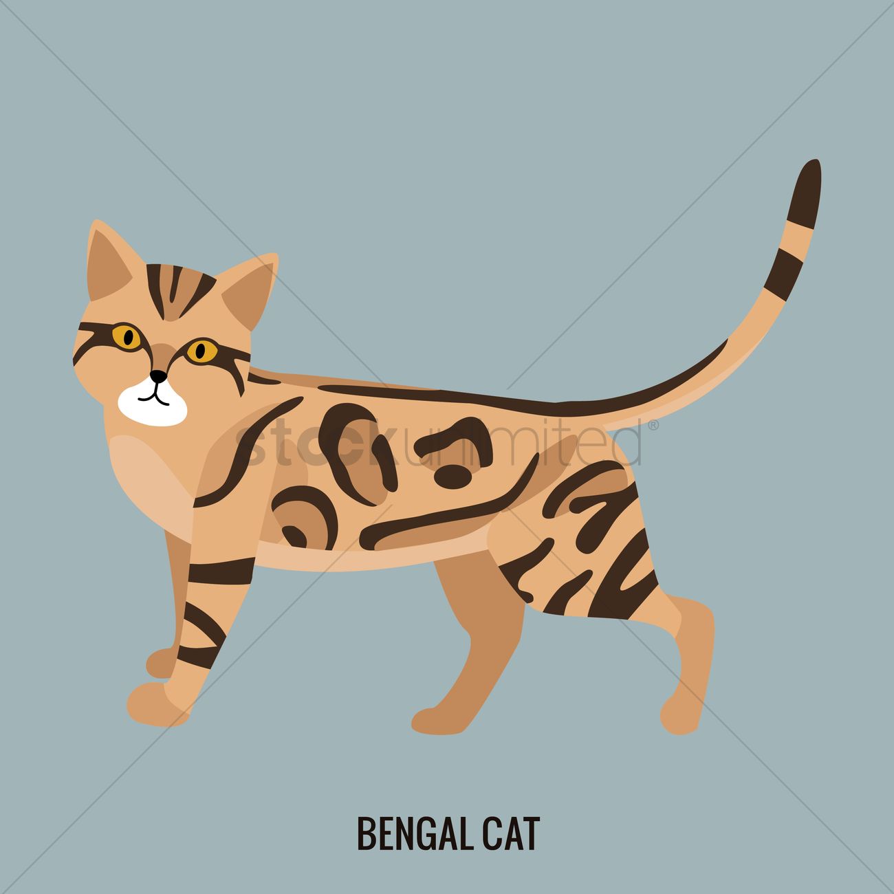 Bengal Cat svg #5, Download drawings