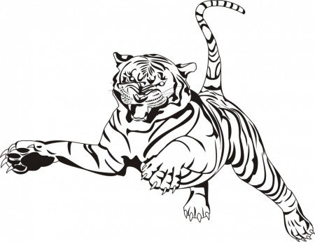 White Tiger coloring #10, Download drawings
