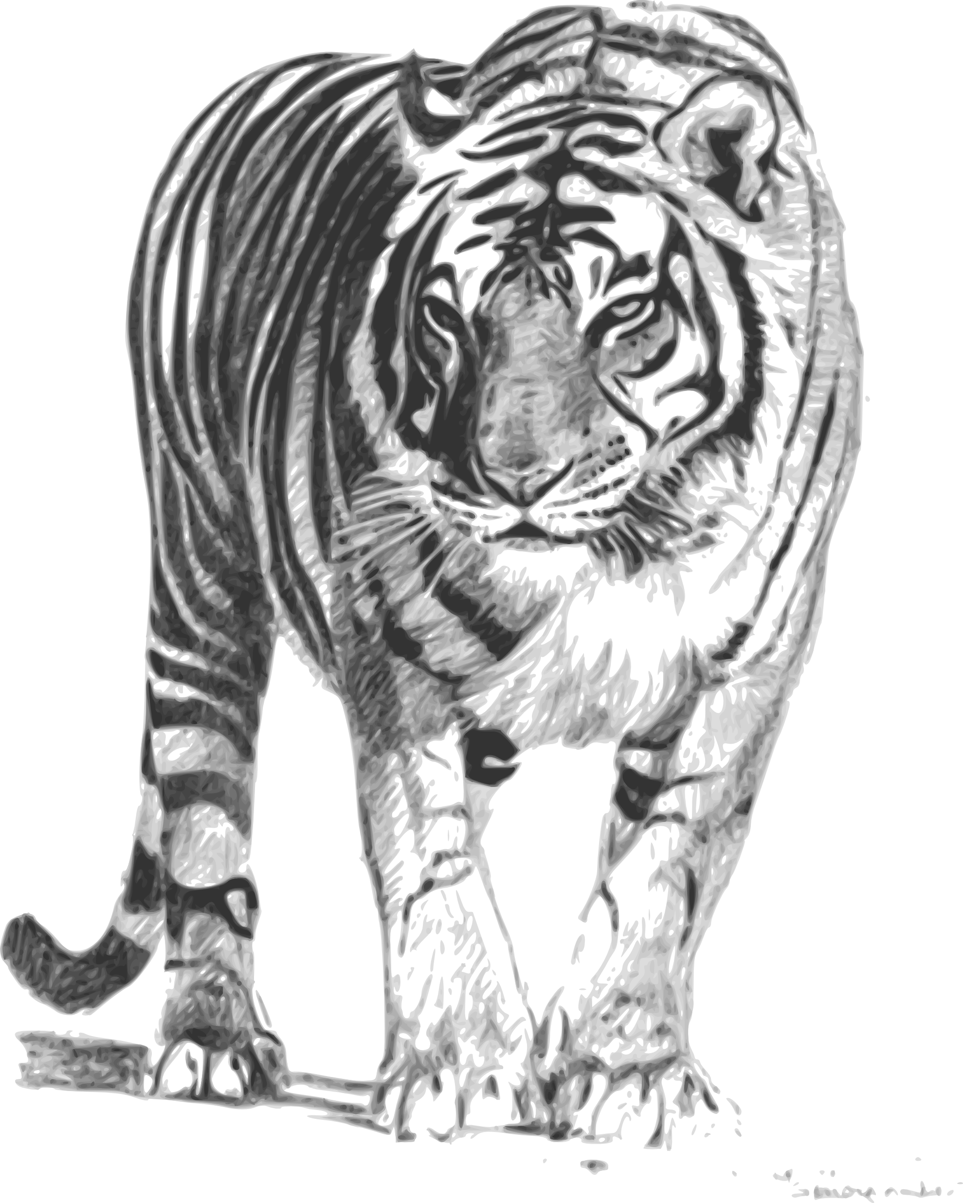 Bengal Cat svg #13, Download drawings