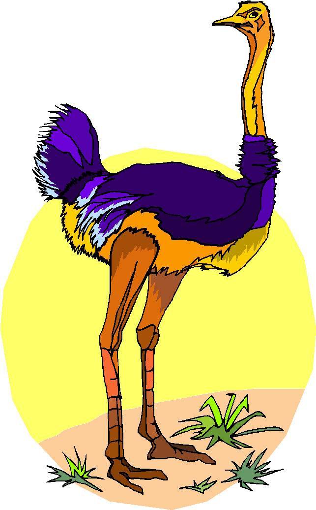 Ostrich clipart #8, Download drawings