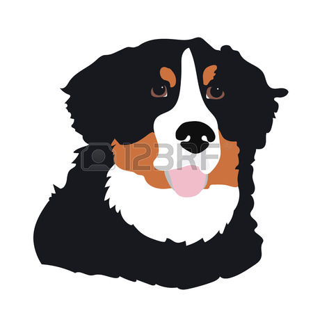 Bernese Mountain Dog clipart #20, Download drawings