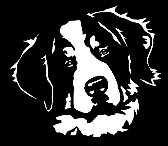 Bernese Mountain Dog svg #2, Download drawings