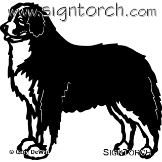 Bernese Mountain Dog svg #3, Download drawings