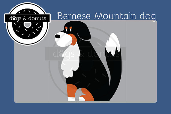 Bernese Mountain Dog svg #6, Download drawings