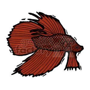 Betta clipart #14, Download drawings